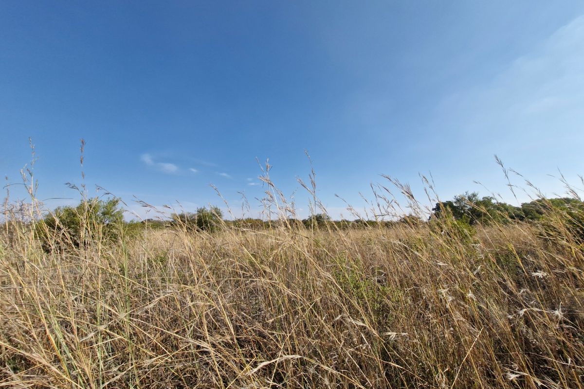 EXCEPTIONALLY WELL-MAINTAINED FARM FOR SALE - Photo 4