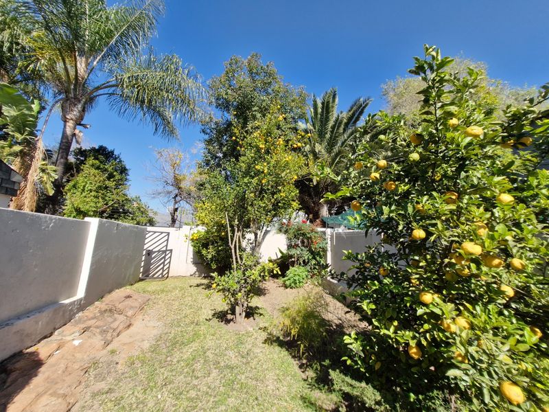 A private rear garden featuring established citrus trees, mature palms, and a secure perimeter wall with a gated entrance.