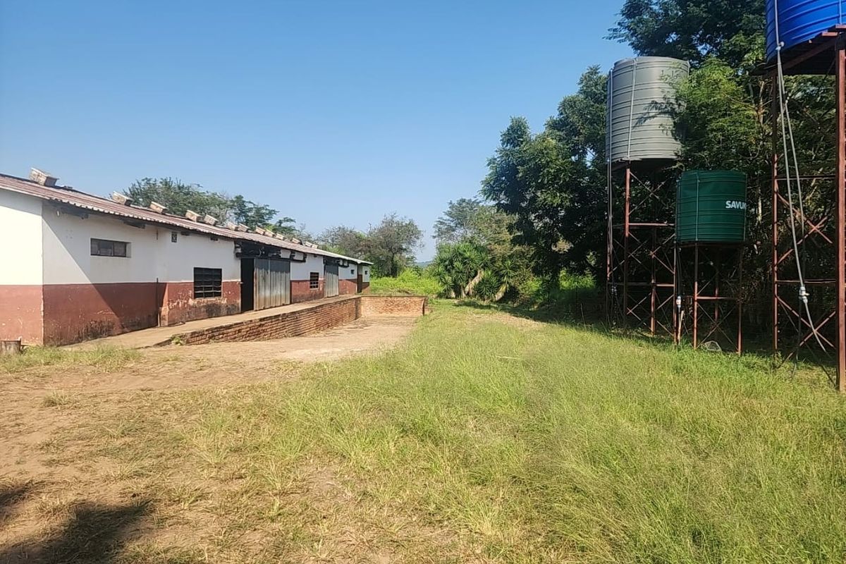 Exterior view of a small holding outbuilding featuring a long structure with a ramp and multiple elevated water storage tanks on metal stands.