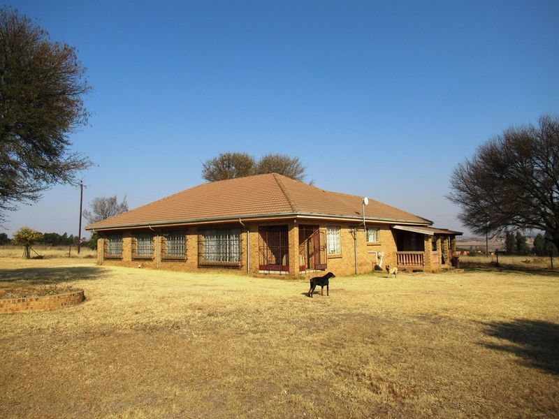 A detached face-brick small holding residence featuring a tiled hip roof, security bars on windows, and a covered patio area set on a large plot.