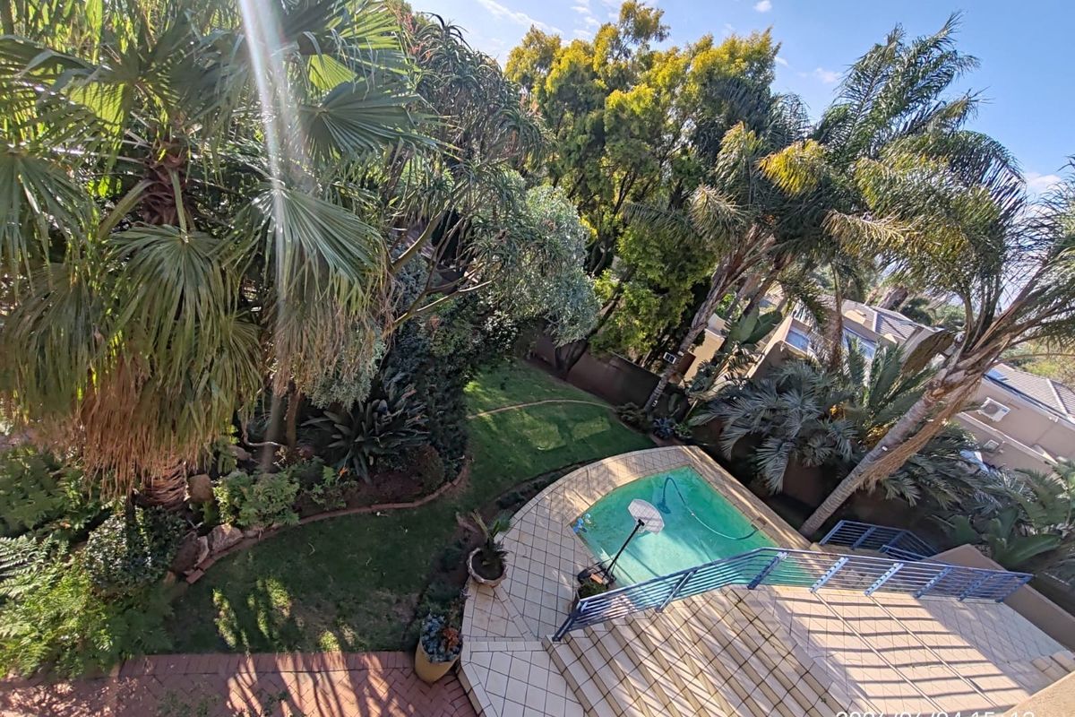 Elevated view of a private backyard featuring a swimming pool, paved patio area, and established garden landscaping.