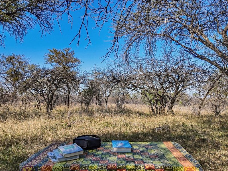 Farm For Sale in Dinokeng Game Reserve, Wonderboom - Photo 5