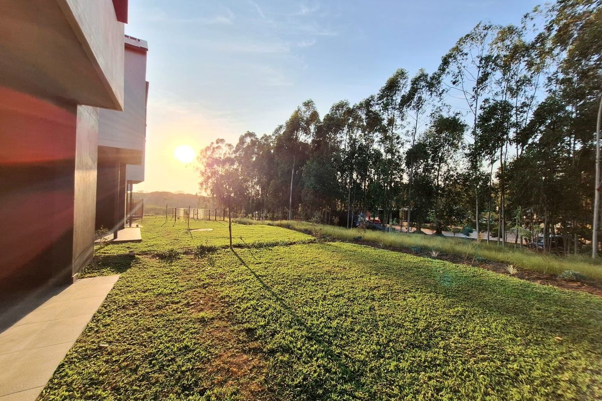 A spacious rear garden area featuring a well-maintained lawn, paved walkway, and scenic sunset views with established trees along the perimeter.