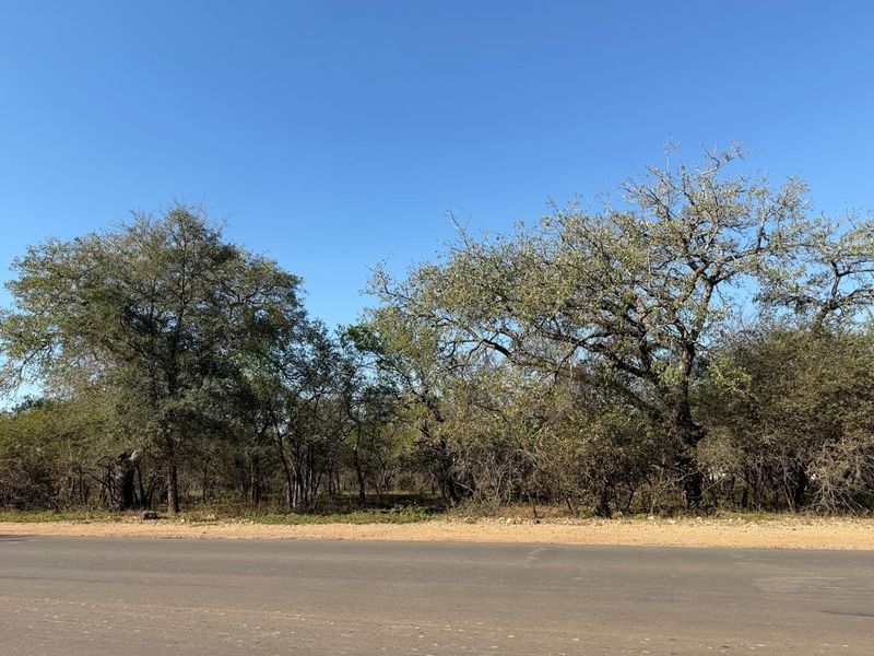 Build Your Dream Bushveld Escape on This Beautiful Flat Stand in the Heart of Marloth Park - Photo 2