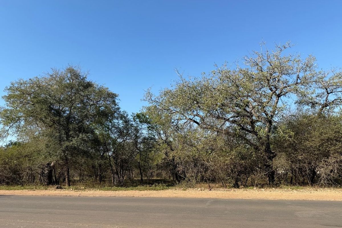 Build Your Dream Bushveld Escape on This Beautiful Flat Stand in the Heart of Marloth Park - Photo 2