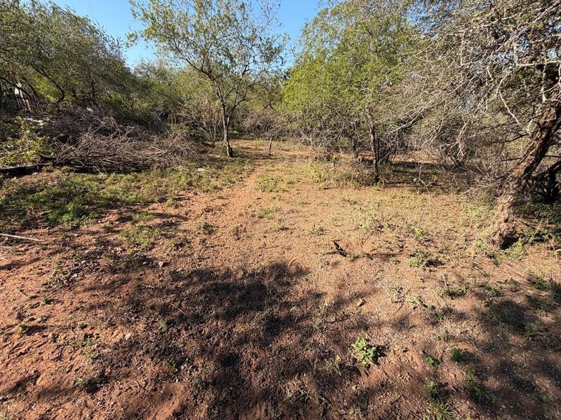 Build Your Dream Bushveld Escape on This Beautiful Flat Stand in the Heart of Marloth Park - Photo 10