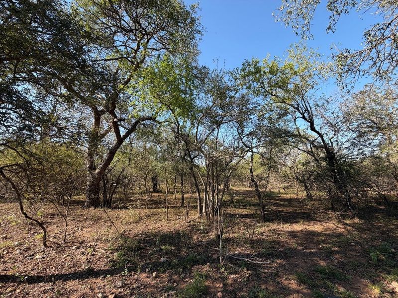 Build Your Dream Bushveld Escape on This Beautiful Flat Stand in the Heart of Marloth Park - Photo 9