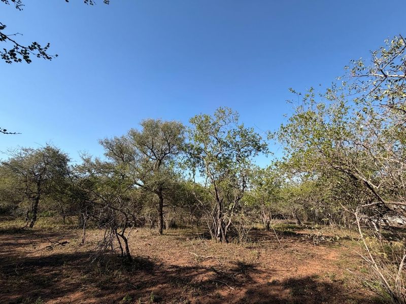 Build Your Dream Bushveld Escape on This Beautiful Flat Stand in the Heart of Marloth Park - Photo 7