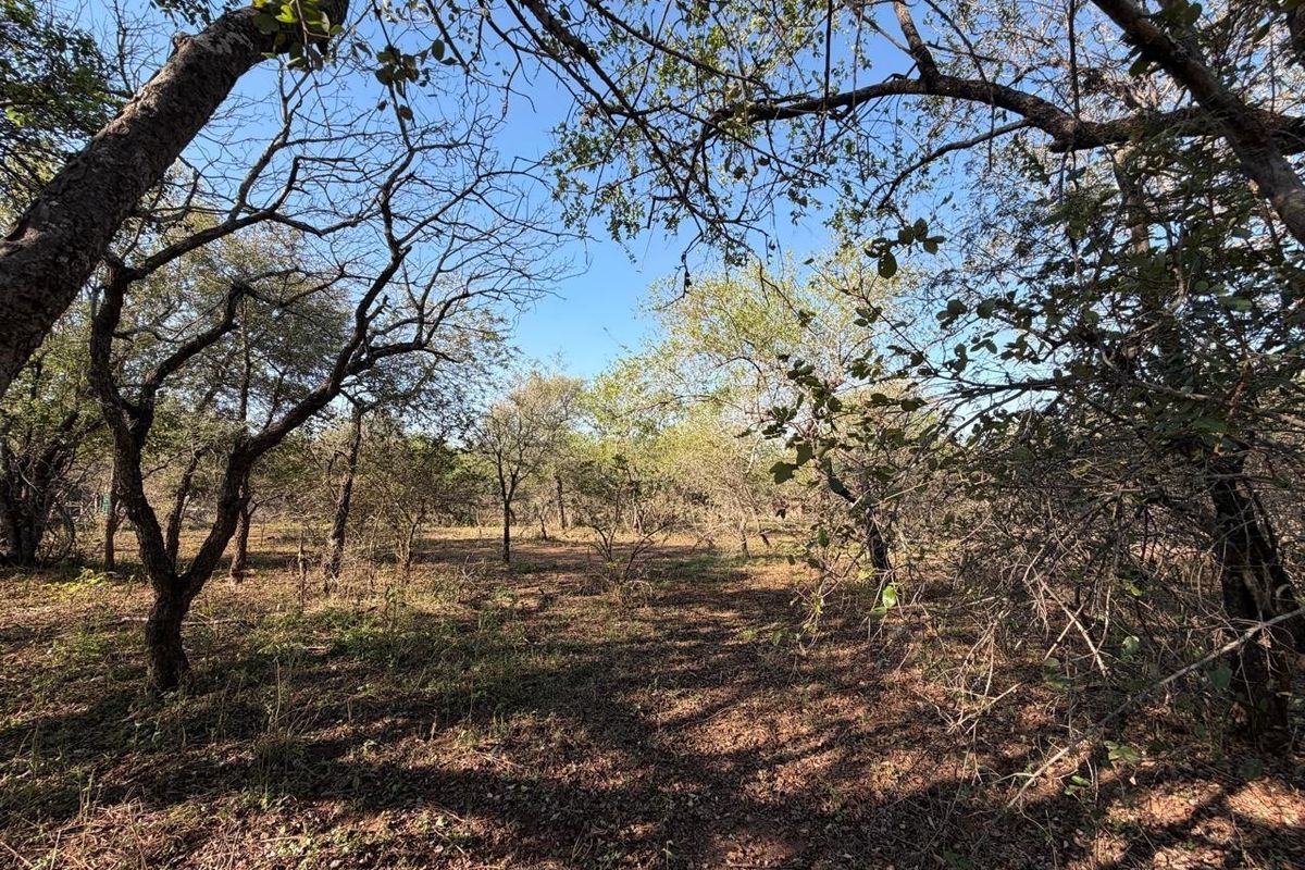 Build Your Dream Bushveld Escape on This Beautiful Flat Stand in the Heart of Marloth Park - Photo 5