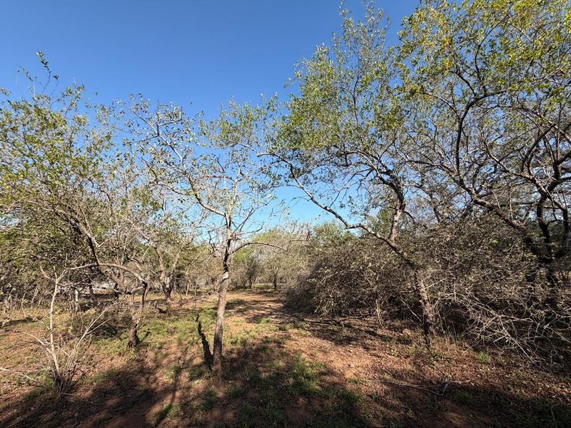 Build Your Dream Bushveld Escape on This Beautiful Flat Stand in the Heart of Marloth Park - Photo 8
