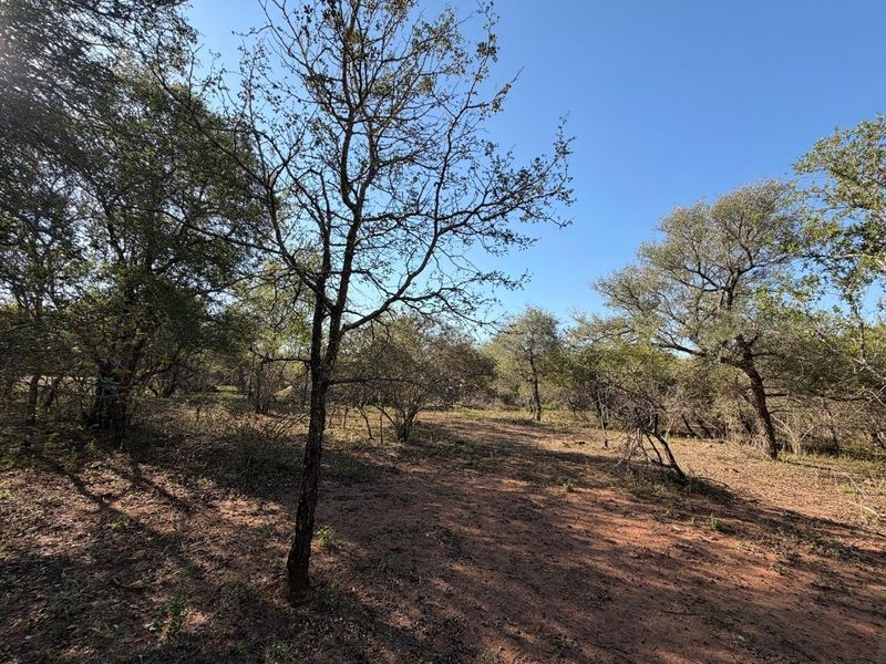 Build Your Dream Bushveld Escape on This Beautiful Flat Stand in the Heart of Marloth Park - Photo 6