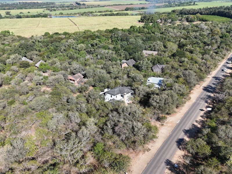 Build Your Dream Bushveld Escape on This Beautiful Flat Stand in the Heart of Marloth Park - Photo 3