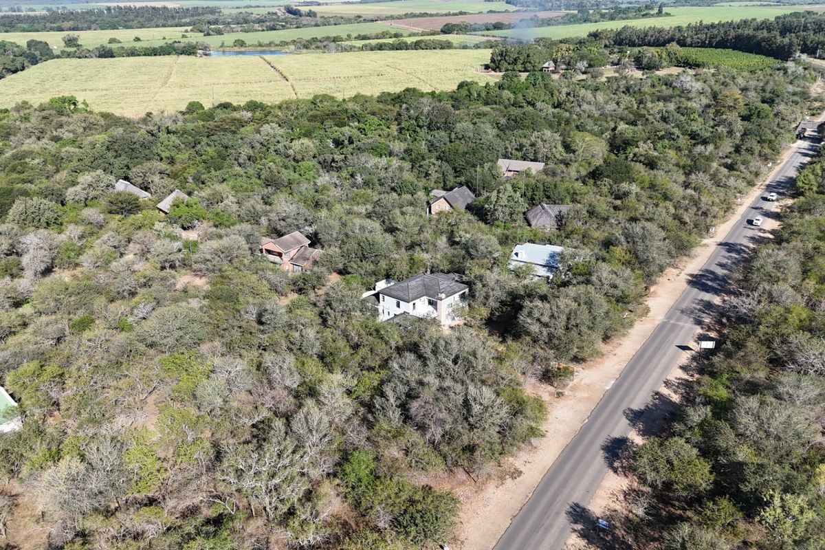 Build Your Dream Bushveld Escape on This Beautiful Flat Stand in the Heart of Marloth Park - Photo 3