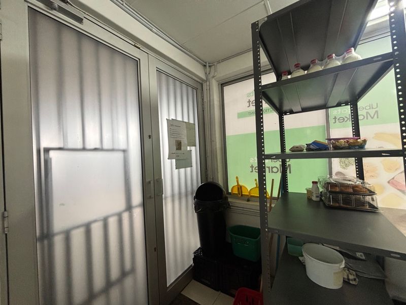 A functional utility or storage area featuring frosted glass double doors with security bars and exposed surface-mounted electrical conduit.