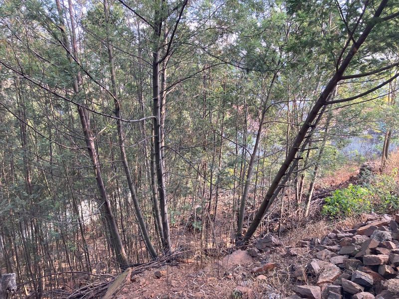 Vacant Land For Sale in Newlands, Pretoria - Photo 6