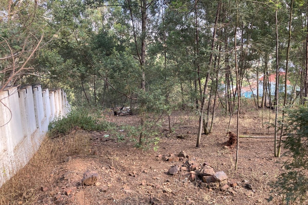 Vacant Land For Sale in Newlands, Pretoria - Photo 5