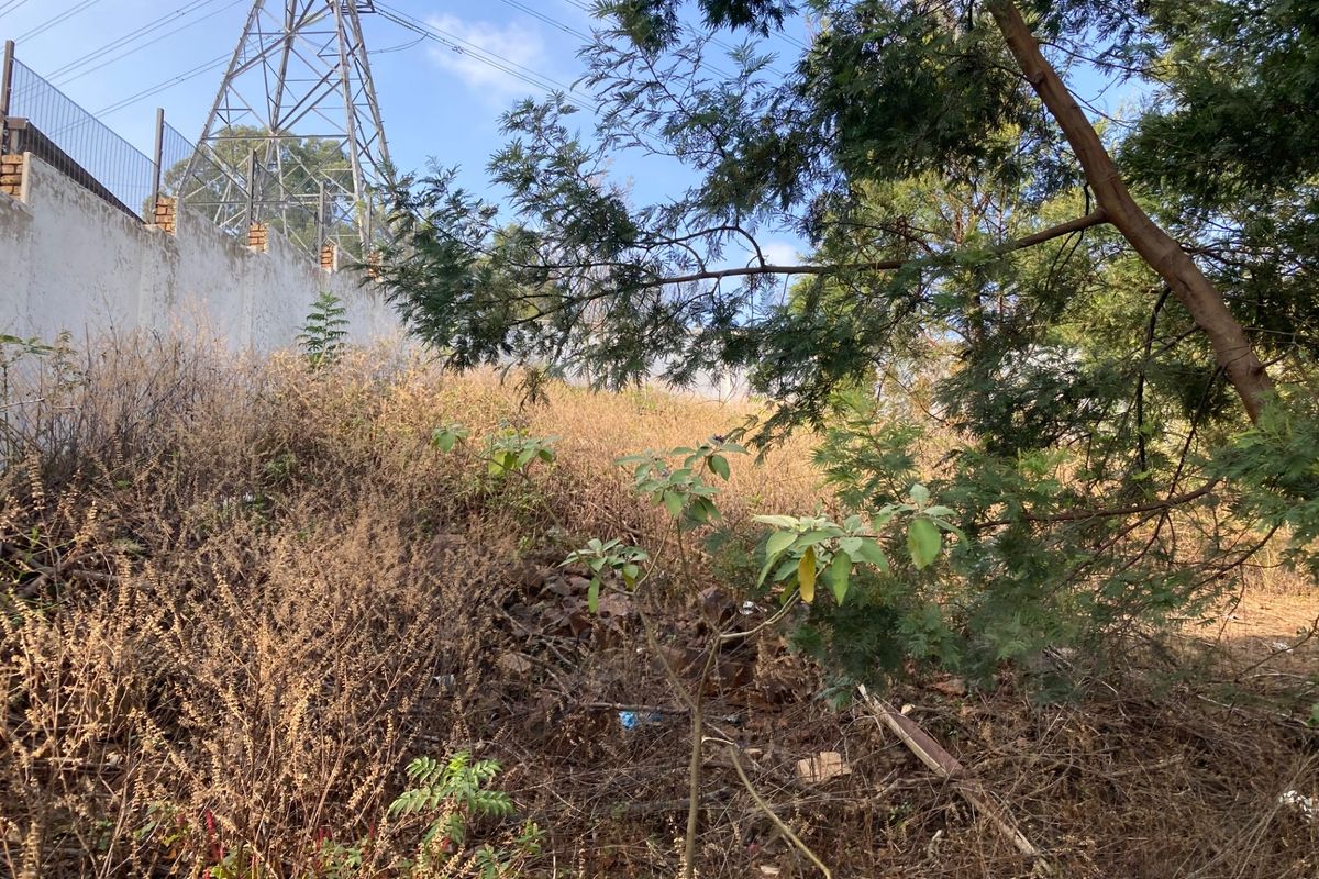 Vacant Land For Sale in Newlands, Pretoria - Photo 4