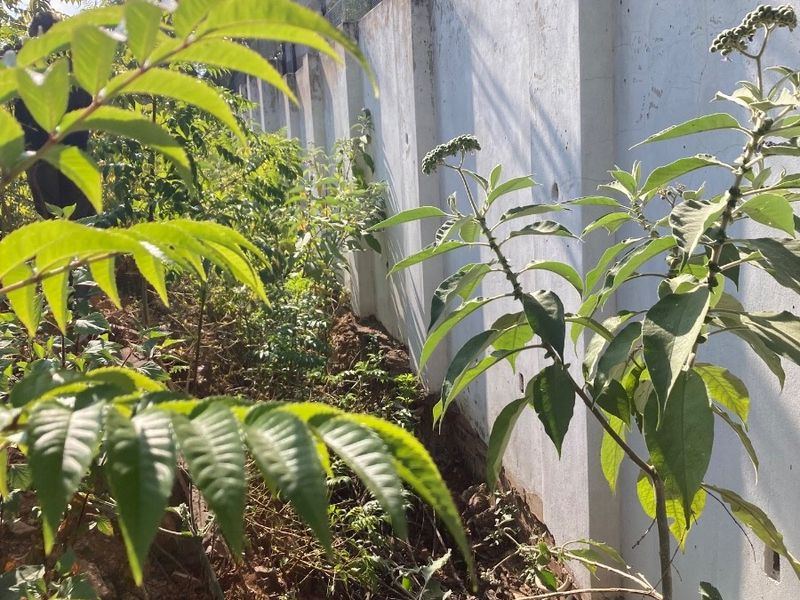 Vacant Land For Sale in Newlands, Pretoria - Photo 9