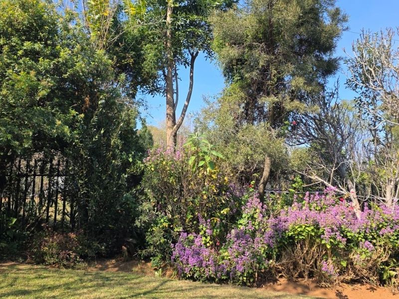 A view of the established garden area featuring mature trees, flowering shrubs, and perimeter fencing on the farm property.
