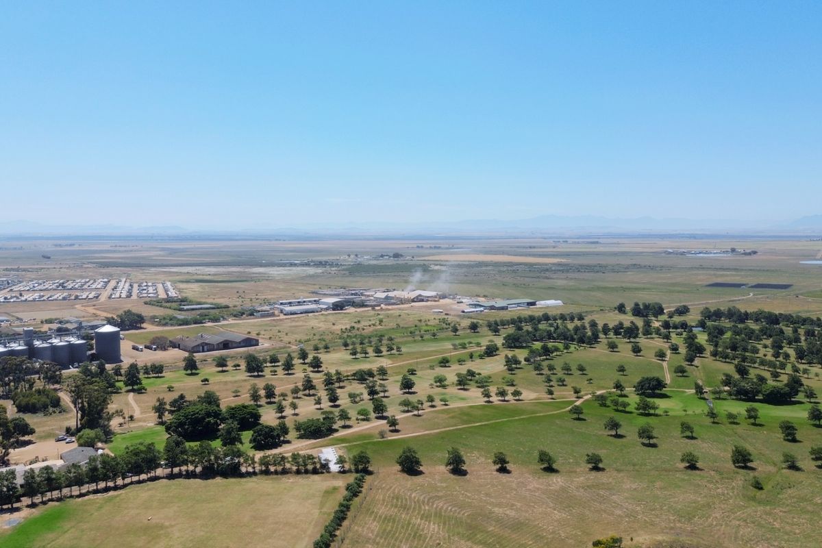 Stunning Vacant Land with Approved Plans in Darling - Photo 5