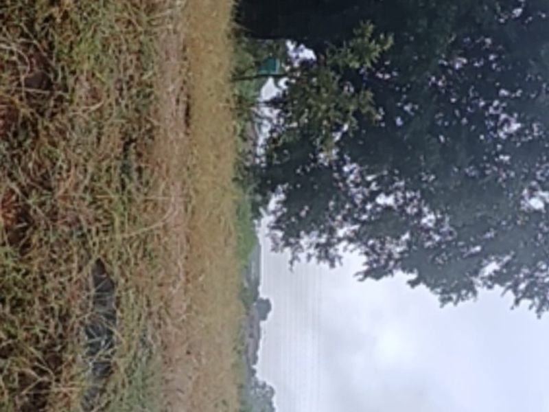 Vacant Land For Sale in Elim, Louis Trichardt - Photo 5