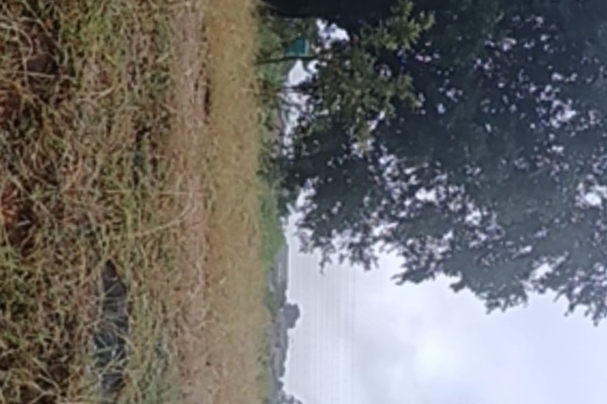 Vacant Land For Sale in Elim, Louis Trichardt - Photo 5