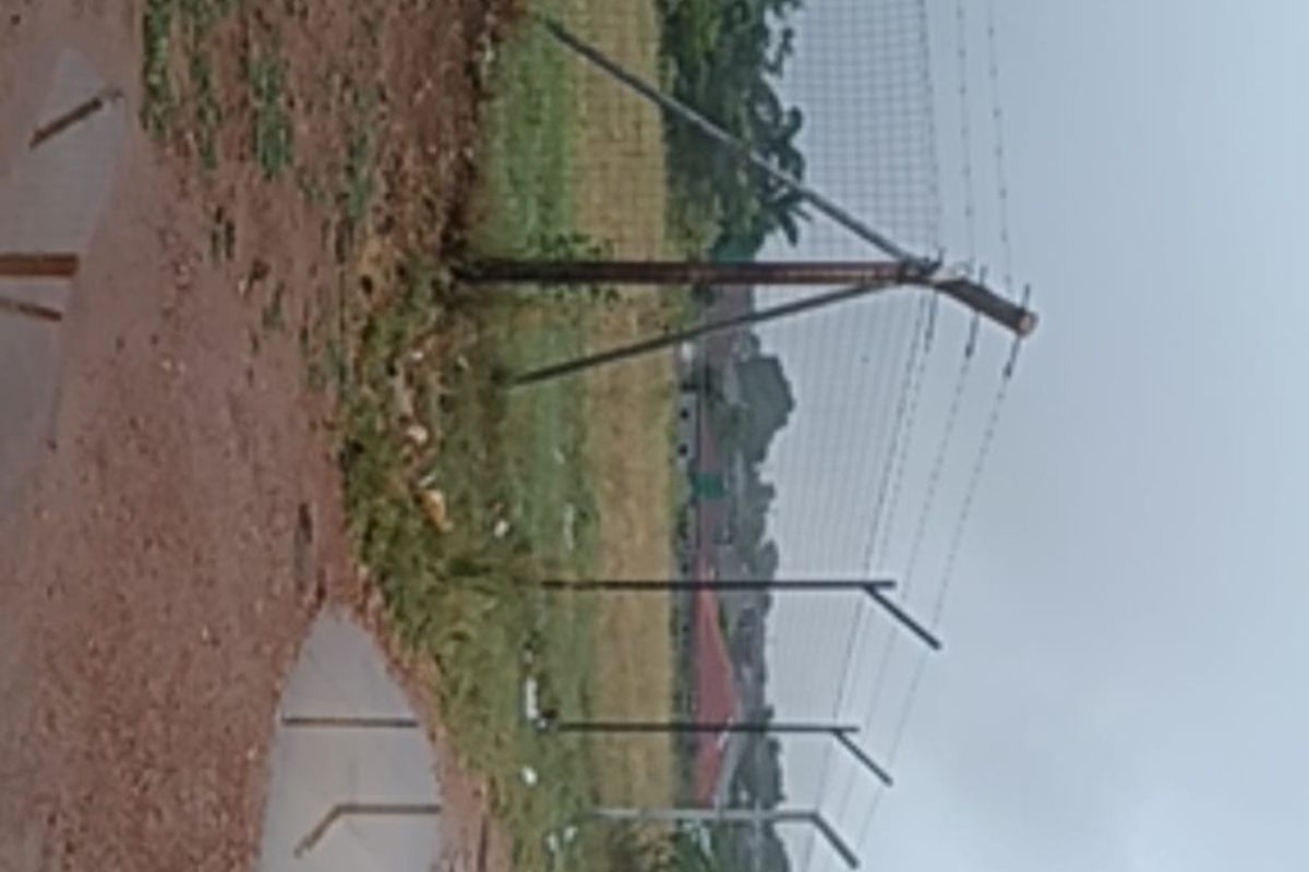 Vacant Land For Sale in Elim, Louis Trichardt - Photo 2