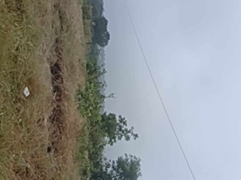 Vacant Land For Sale in Elim, Louis Trichardt - Photo 8
