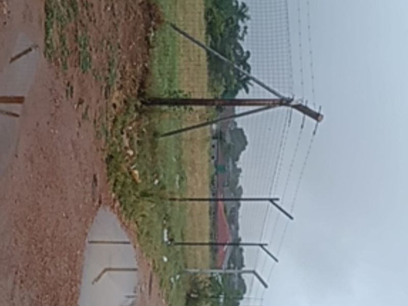 Vacant Land For Sale in Elim, Louis Trichardt - Photo 6