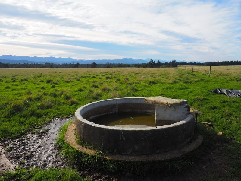 Farm For Sale in Harkerville AH, Plettenberg Bay - Photo 2
