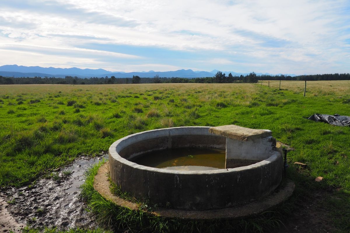 Farm For Sale in Harkerville AH, Plettenberg Bay - Photo 2