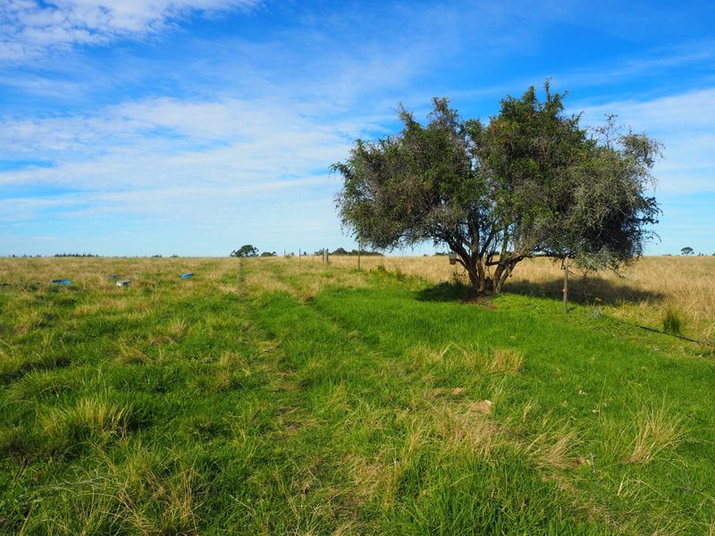 Farm For Sale in Harkerville AH, Plettenberg Bay - Photo 3