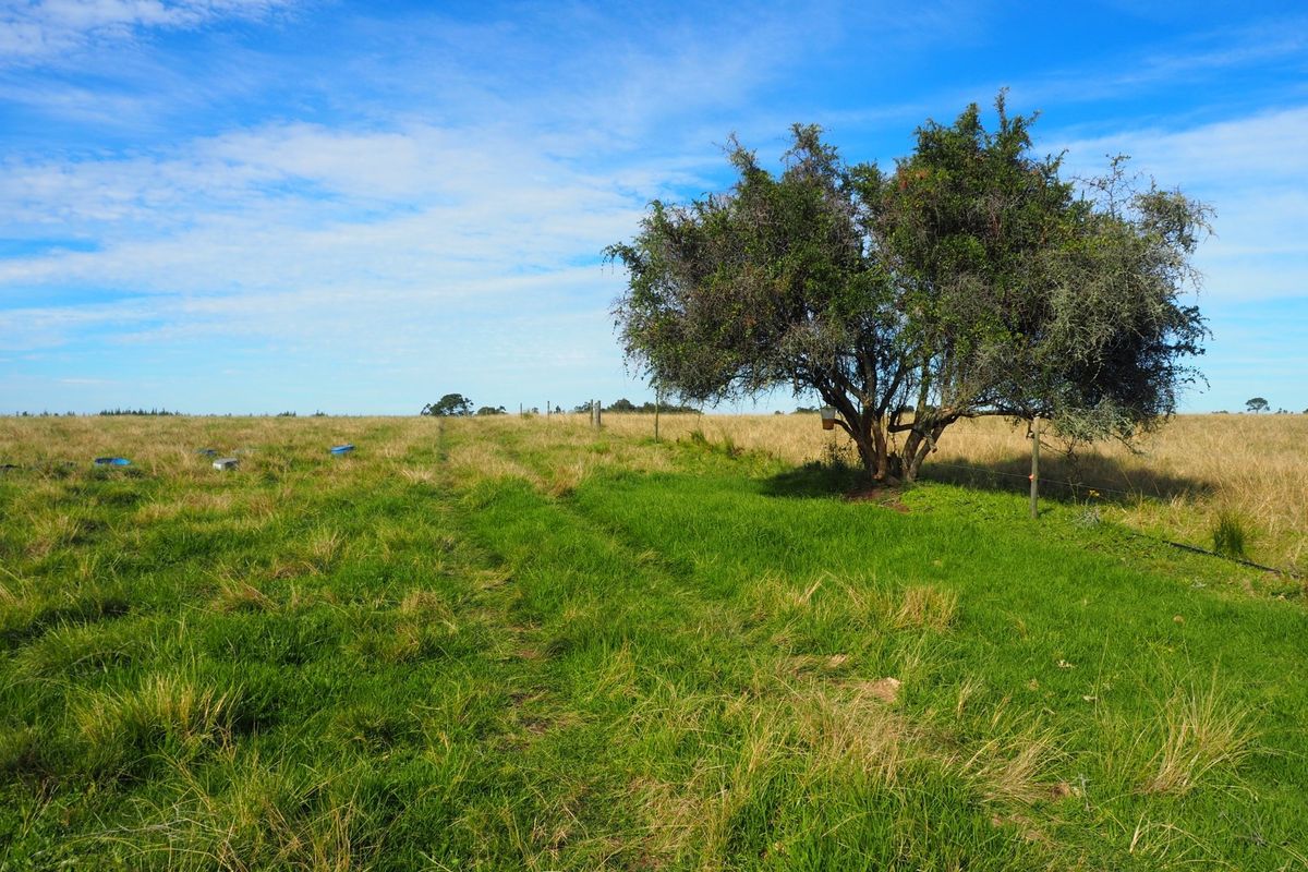 Farm For Sale in Harkerville AH, Plettenberg Bay - Photo 3