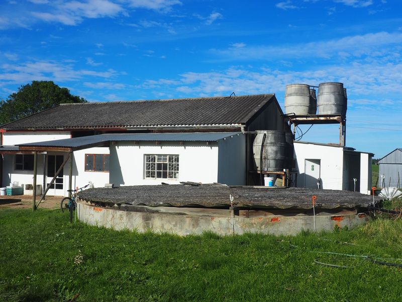 Farm For Sale in Harkerville AH, Plettenberg Bay - Photo 5