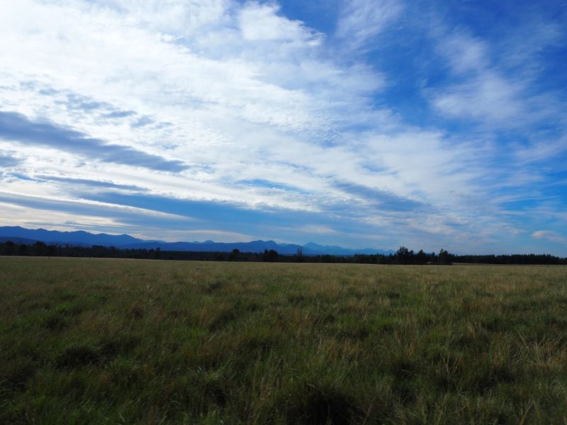 Farm For Sale in Harkerville AH, Plettenberg Bay - Photo 9