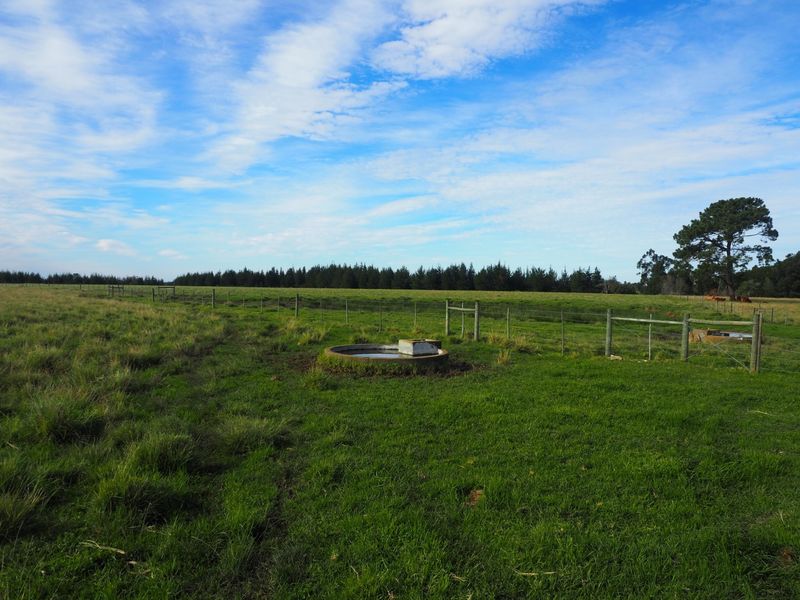 Farm For Sale in Harkerville AH, Plettenberg Bay - Photo 10