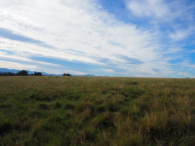 Farm For Sale in Harkerville AH, Plettenberg Bay - Photo 7