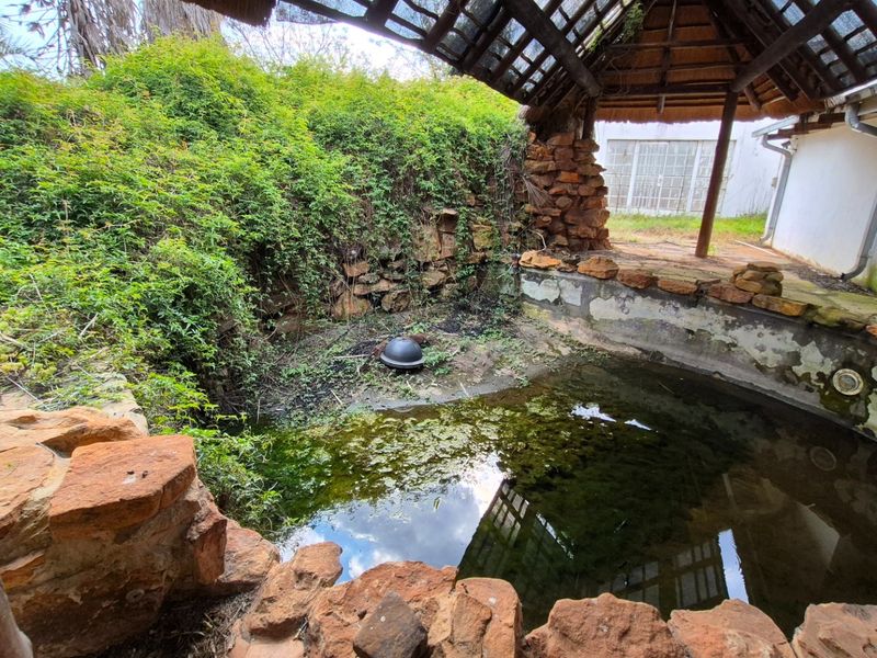 Outdoor pool area featuring a thatched lapa and stone masonry, currently requiring significant maintenance and restoration to restore its functionality and aesthetic appeal.