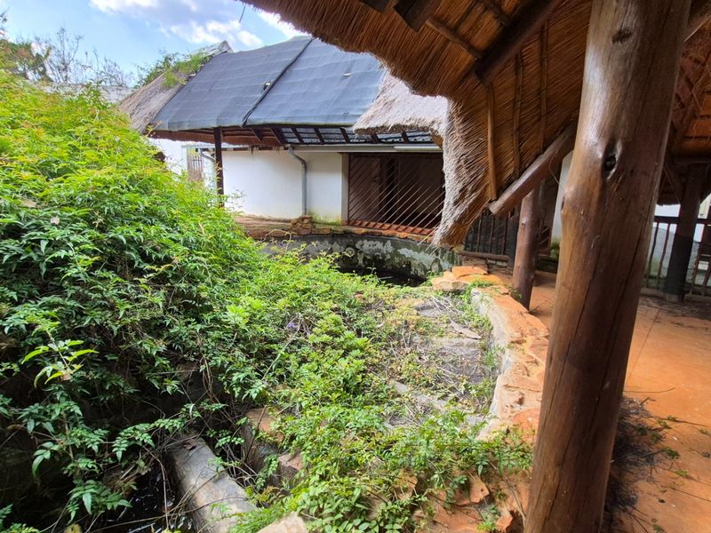 Rear exterior view of a farm property featuring a thatched patio area and a neglected water feature surrounded by overgrown vegetation.
