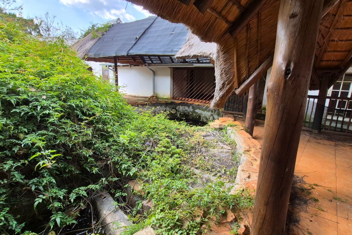 Rear exterior view of a farm property featuring a thatched patio area and a neglected water feature surrounded by overgrown vegetation.
