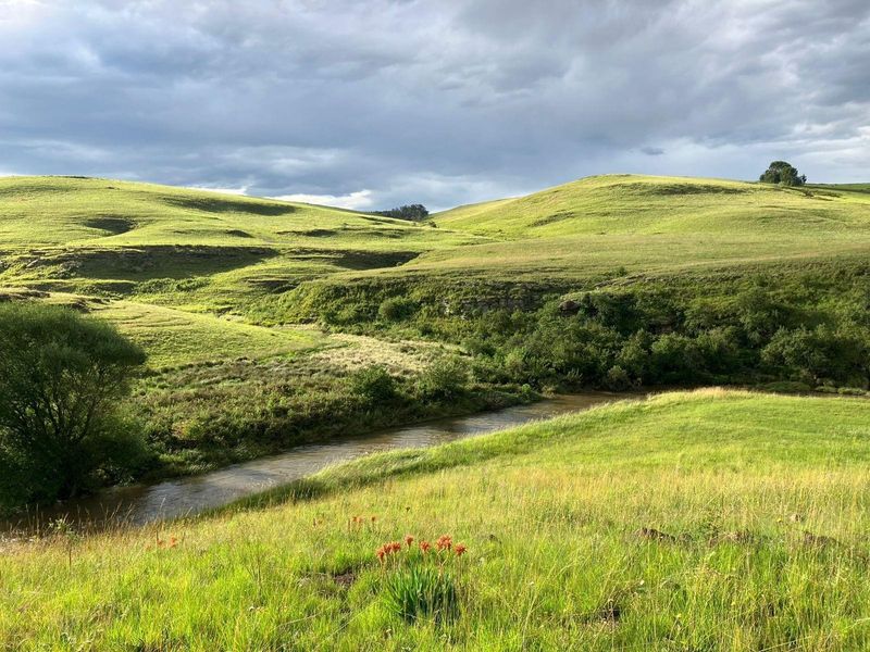 Kamberg Country Retreat with Exclusive Trout Fishing - Photo 3