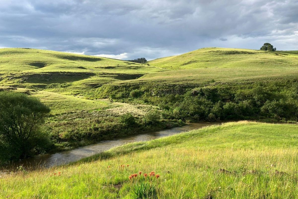 Kamberg Country Retreat with Exclusive Trout Fishing - Photo 3