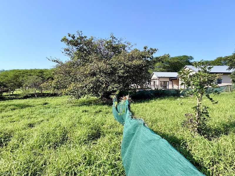 Inkwazi Estate level land in Zinkwazi - Photo 10