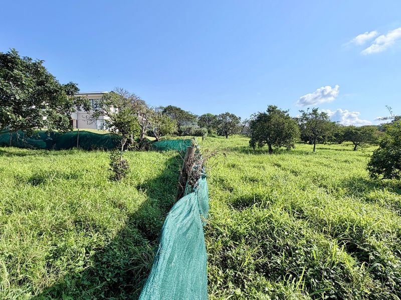 Inkwazi Estate level land in Zinkwazi - Photo 9