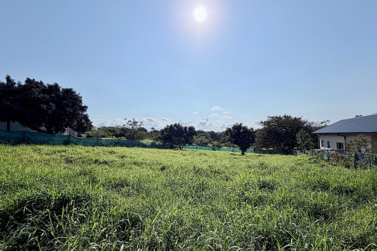 Inkwazi Estate level land in Zinkwazi - Photo 2