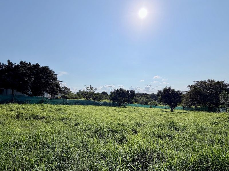 Inkwazi Estate level land in Zinkwazi - Photo 4