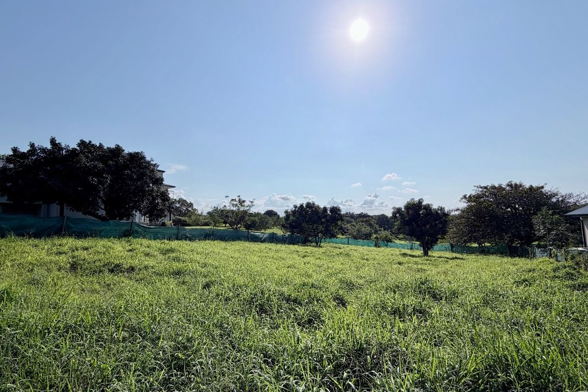 Inkwazi Estate level land in Zinkwazi - Photo 4