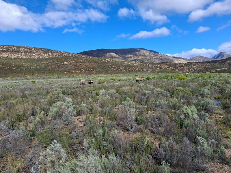 Farm For Sale in Riversdale Rural, Riversdale - Photo 9