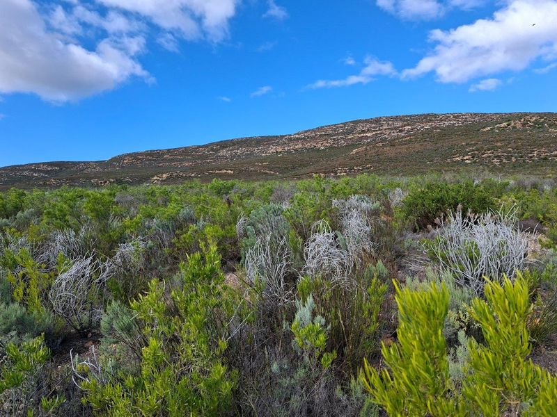 Farm For Sale in Riversdale Rural, Riversdale - Photo 8