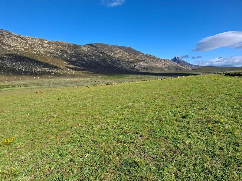 Farm For Sale in Riversdale Rural, Riversdale - Photo 6